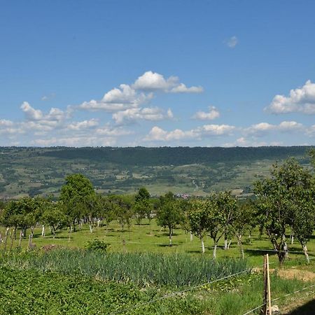 Bed and Breakfast Atyha Kiss Csalad Lak Agropanzio Exteriér fotografie