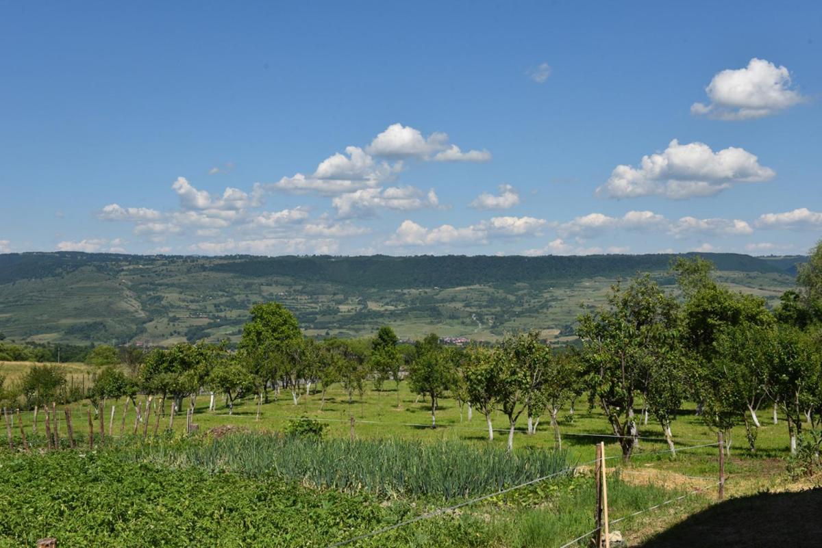 Bed and Breakfast Atyha Kiss Csalad Lak Agropanzio Exteriér fotografie